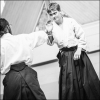 AikidoNoyellesLesSeclin0106