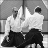 AikidoNoyellesLesSeclin0112