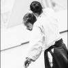 AikidoNoyellesLesSeclin0115