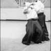 AikidoNoyellesLesSeclin0118