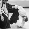 AikidoNoyellesLesSeclin0126