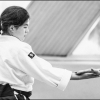 AikidoNoyellesLesSeclin0130