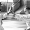 AikidoNoyellesLesSeclin0132