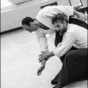 AikidoNoyellesLesSeclin0140