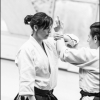 AikidoNoyellesLesSeclin0145