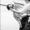 AikidoNoyellesLesSeclin0146