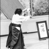 AikidoNoyellesLesSeclin0148
