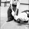 AikidoNoyellesLesSeclin0149
