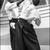 AikidoNoyellesLesSeclin0151