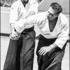 AikidoNoyellesLesSeclin0152