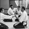 AikidoNoyellesLesSeclin0154