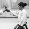 AikidoNoyellesLesSeclin0155