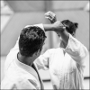 AikidoNoyellesLesSeclin0157