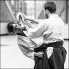 AikidoNoyellesLesSeclin0162