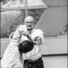 AikidoNoyellesLesSeclin0163