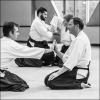 AikidoNoyellesLesSeclin0165