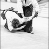 AikidoNoyellesLesSeclin0173