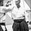 AikidoNoyellesLesSeclin0175