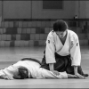AikidoNoyellesLesSeclin0176