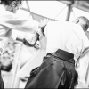 AikidoNoyellesLesSeclin0179