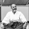 AikidoNoyellesLesSeclin0184