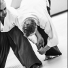 AikidoNoyellesLesSeclin0196