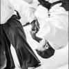AikidoNoyellesLesSeclin0197