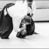AikidoNoyellesLesSeclin0200