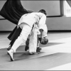 AikidoNoyellesLesSeclin0201