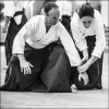 AikidoNoyellesLesSeclin0204
