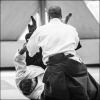 AikidoNoyellesLesSeclin0205