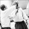 AikidoNoyellesLesSeclin0207