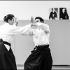 AikidoNoyellesLesSeclin0046
