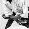 Aikido Noyelles les Seclin -0039