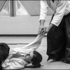 Aikido Noyelles les Seclin -0044