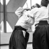 Aikido Noyelles les Seclin -0052