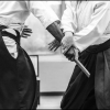 Aikido Noyelles les Seclin -0061