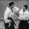 Aikido Noyelles les Seclin - 0013