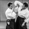 Aikido Noyelles les Seclin - 0015