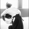 Aikido Noyelles les Seclin 0001