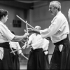 AikidoNoyellesLesSeclin (1)