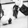 AikidoNoyellesLesSeclin (103)