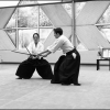AikidoNoyellesLesSeclin (118)