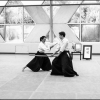 AikidoNoyellesLesSeclin (120)