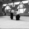 AikidoNoyellesLesSeclin (123)