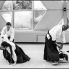AikidoNoyellesLesSeclin (127)