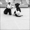 AikidoNoyellesLesSeclin (129)