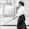 AikidoNoyellesLesSeclin (13)