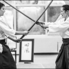 AikidoNoyellesLesSeclin (136)