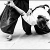AikidoNoyellesLesSeclin (143)